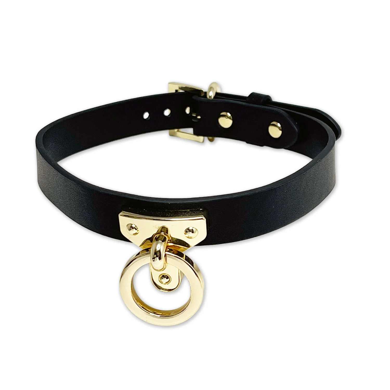 Black and Gold Collar and Leash Set by Fetish Pleasure Play - Image 2