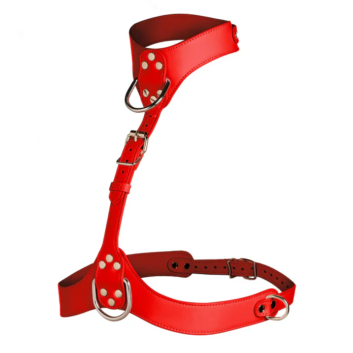 Vixen Female Chest Harness in Red - Image 2