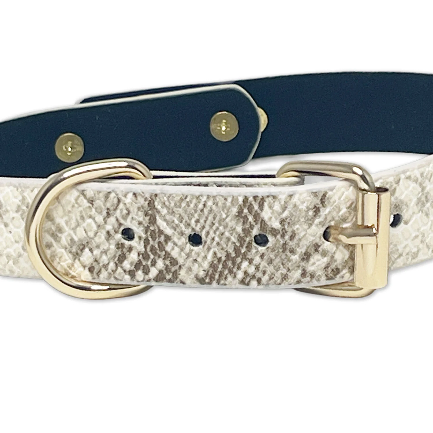 White Faux Snakeskin Clasp Collar by Fetish Pleasure Play - Image 3